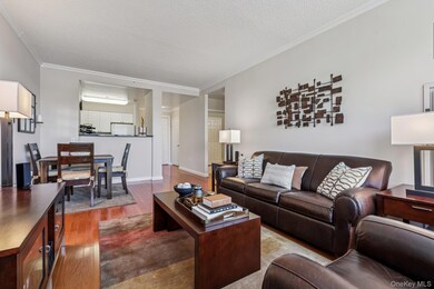 The Residences at Jefferson Place unit 715, White Plains, NY 10605 - photo 2