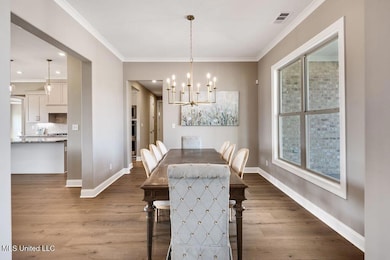 2115 Livingston Way, Hernando, MS 38632 - photo 6