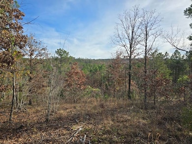 100 Tbd Heavener Oklahoma, Heavener, OK 74937 - photo 7