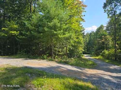 Red Rooster Way Photo use 6