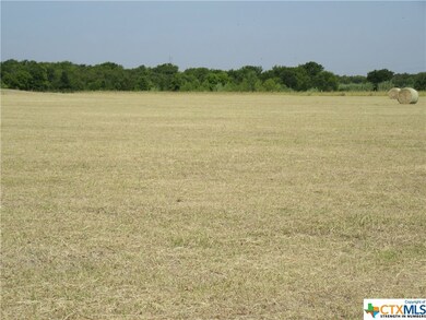 TBD Fm 935 Tract 6, Troy, TX 76579 - photo 2