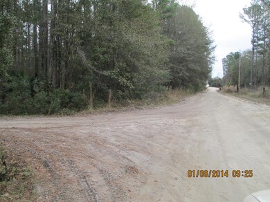 3474 Baker Rd, Middleburg, FL 32068 - photo 2