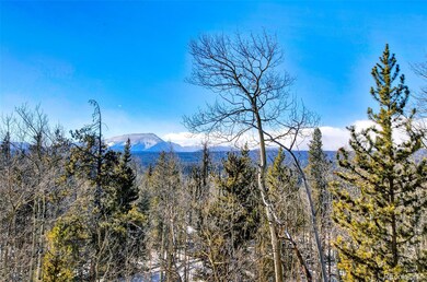 96 Dead Toad Rd, Fairplay, CO 80440 - photo 7