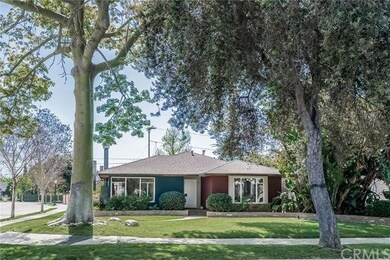 Situated Amongst Mature Trees