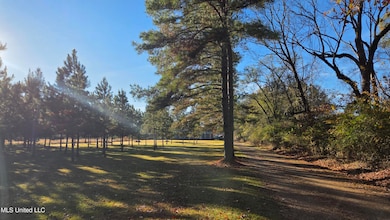 4839 Cayuga Rd, Utica, MS 39175 - photo 2