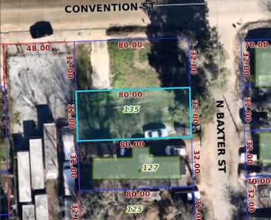 135 N Baxter St, Baton Rouge, LA 70806 - photo 3