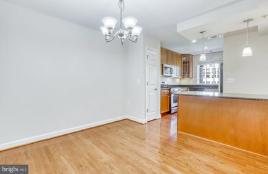 4113 S Four Mile Run Dr unit 301, Arlington, VA 22204 - photo 5