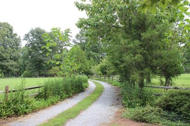 Split-rail fenced pastures are on both sides of th