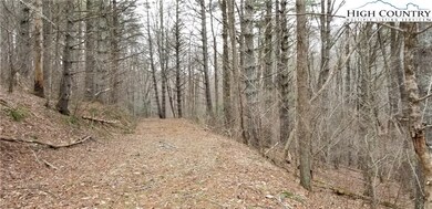 Lots 13-17 Panorama Dr, Todd, NC 28684 - photo 2