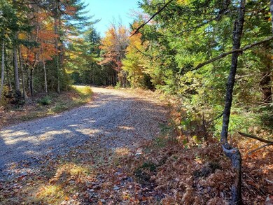 366' on Clifford Lake Rd