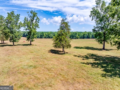 1650 & 1620 Locklin Cemetery Rd, Monroe, GA 30656 - photo 5