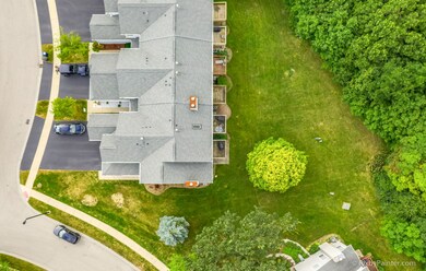 1330 Grandview Ct, Algonquin, IL 60102 - photo 5