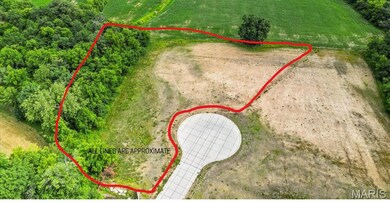 907 Christina Way, Waterloo, IL 62298 - photo 4