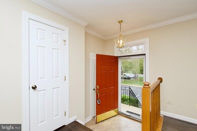 6211 Glenshire Row, Alexandria, VA 22315 - photo 5