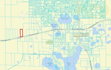 00 E Hwy 316, Fort McCoy, FL 32134 - photo 2