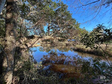 0 Bayou Shores Dr unit 371464, Coden, AL 36523 - photo 7