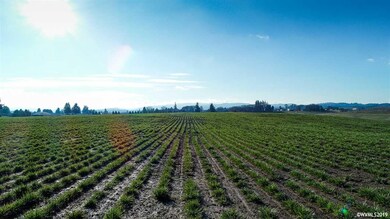 0 Highway 223 (Parcel #572895) unit 746733, Dallas, OR 97338 - photo 6