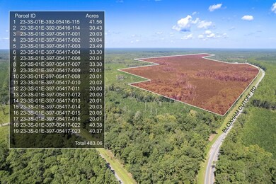 Lot 22 Growing Timbers Rd, Crawfordville, FL 32327 - photo 6