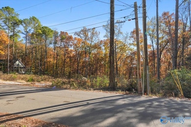 244 Brentwood Ln, Madison, AL 35758 - photo 3