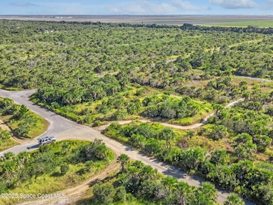 1014 Ponder St SW, Palm Bay, FL 32908 - photo 6