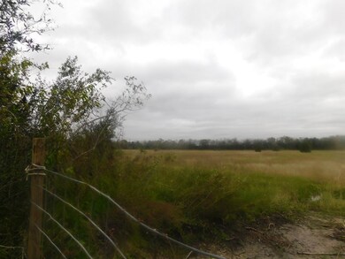 0 Cr 380, Rosharon, TX 77583 - photo 3