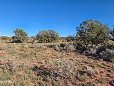 10072 Red Butte Rd, Valle, AZ 86046 - photo 5