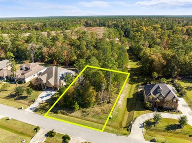 5582 Bright Timber Landing Dr, Spring, TX 77386 - photo 3