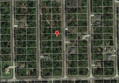 2011 Grayson Ave, Alva, FL 33920 - photo 5