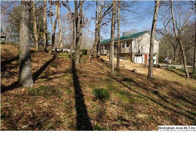 Very large back yard with fence