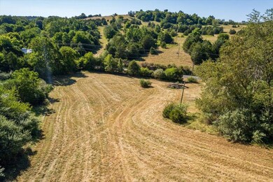 tbd Berry Farm Rd, Staunton, VA 24401 - photo 6