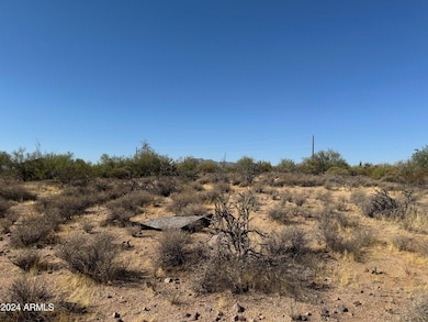 Bring your toys/pets!