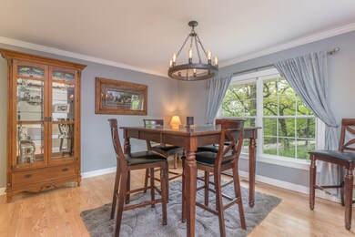 313 Locust St, Lake In the Hills, IL 60156 - photo 5