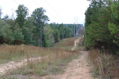0 Reo Rd unit 1397443, Rocky Face, GA 30740 - photo 5