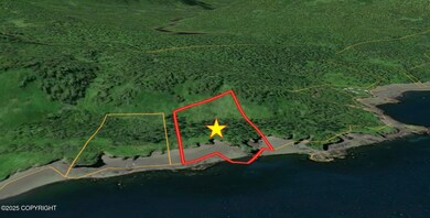 L5 Uyak Bay, Larsen Bay, AK 99624 - photo 4
