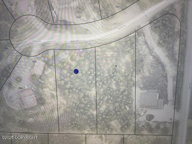 L13A B4H Viola Cir, Anchorage, AK 99516 - photo 3