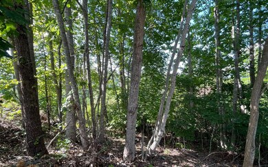 Additional View