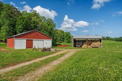 60ac 3 Island Rd, Walling, TN 38587 - photo 6