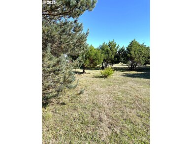 0 Grant Place unit 700 333258636, Bandon, OR 97411 - photo 7