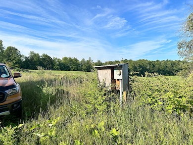 21575 150th Ave, Big Rapids, MI 49307 - photo 3