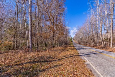 225 Frontier Rd, Enoree, SC 29335 - photo 5