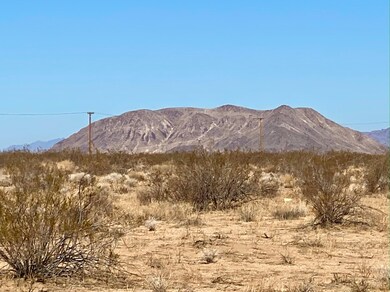 132 Mars Dr, Joshua Tree, CA 92252 - photo 4