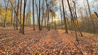 308 Bliss Rd, Union Township, OH 45613 - photo 3