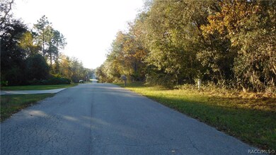 1315 E Hobart Ln, Hernando, FL 34442 - photo 5