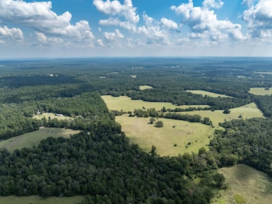 0 Anderson County Road 153 unit Tract 1A, Palestine, TX 75801 - photo 4