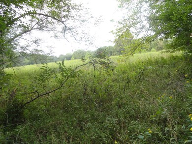 tbd Axton Rd, Axton, VA 24054 - photo 5