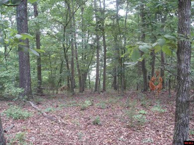 0 Diamond Bay Rd, Union Township, AR 72531 - photo 5