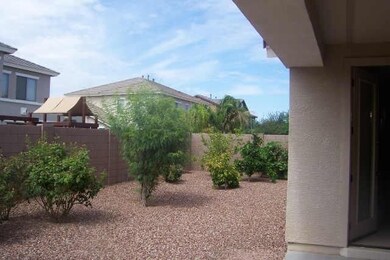 Backyard.