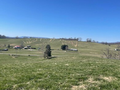 TBD Monroe Rd, Meadowview, VA 24361 - photo 6