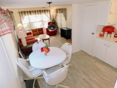 38049 Winter Dr, Zephyrhills, FL 33542 - photo 4