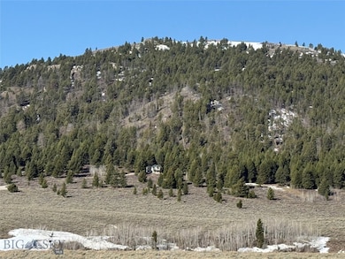 Parcel 23 Buffalo Lance Ranch, Cameron, MT 59720 - photo 2